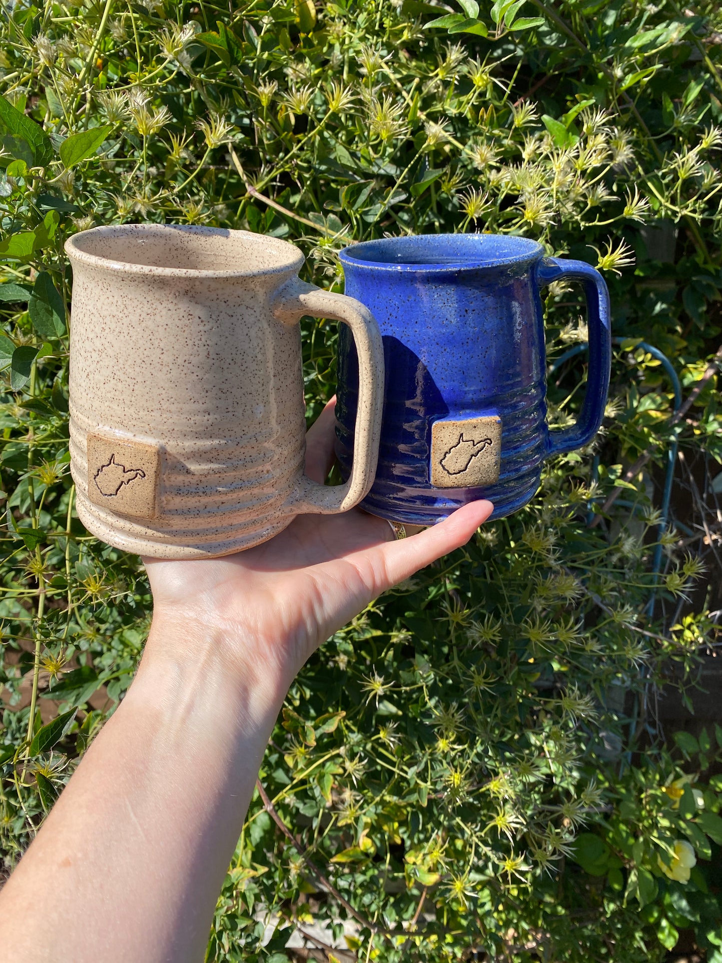 West Virginia State Pride Mug (other states available)