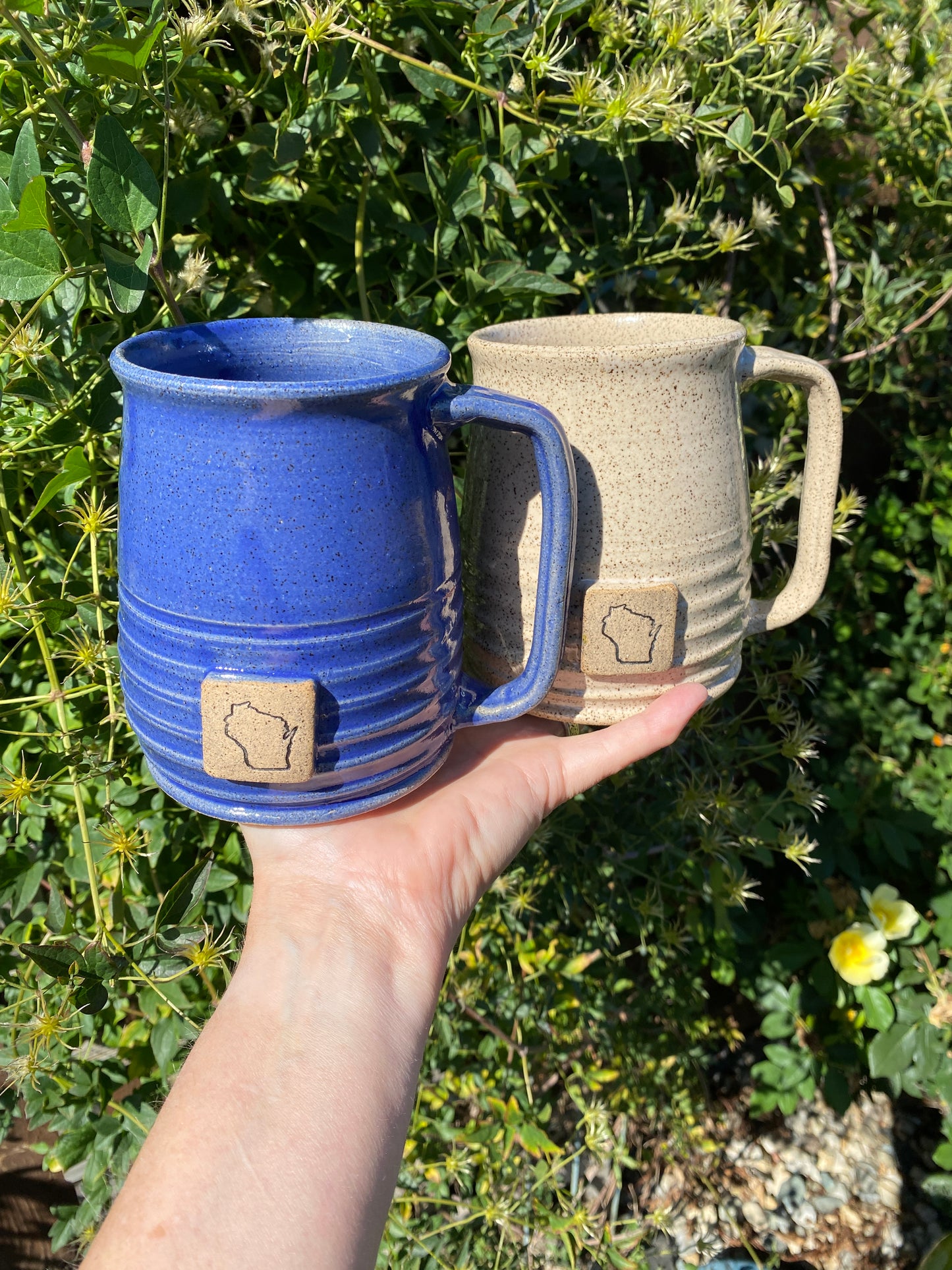 Wisconsin State Pride Mug (other states available)