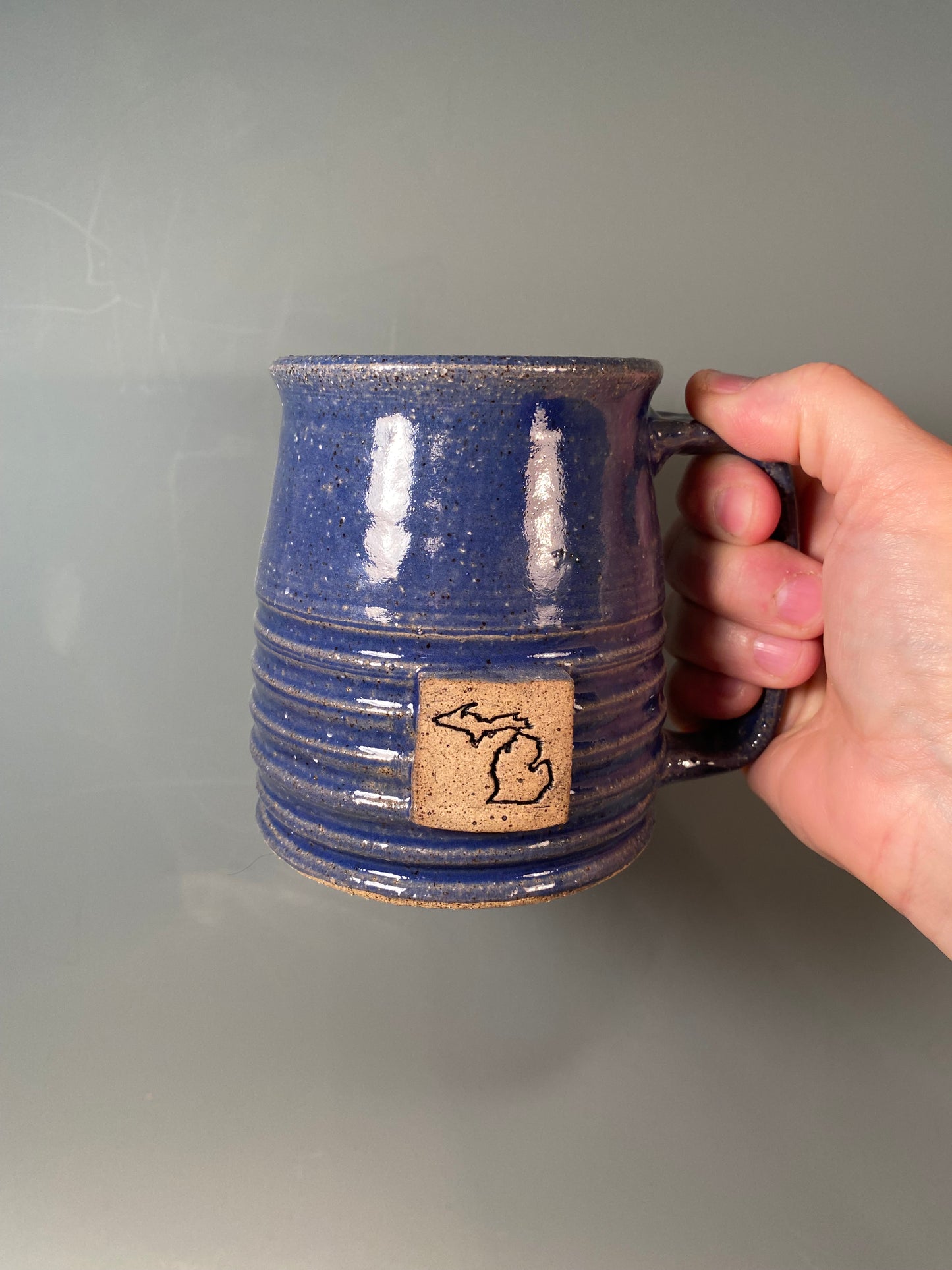 Michigan State Pride Mug (other states available)