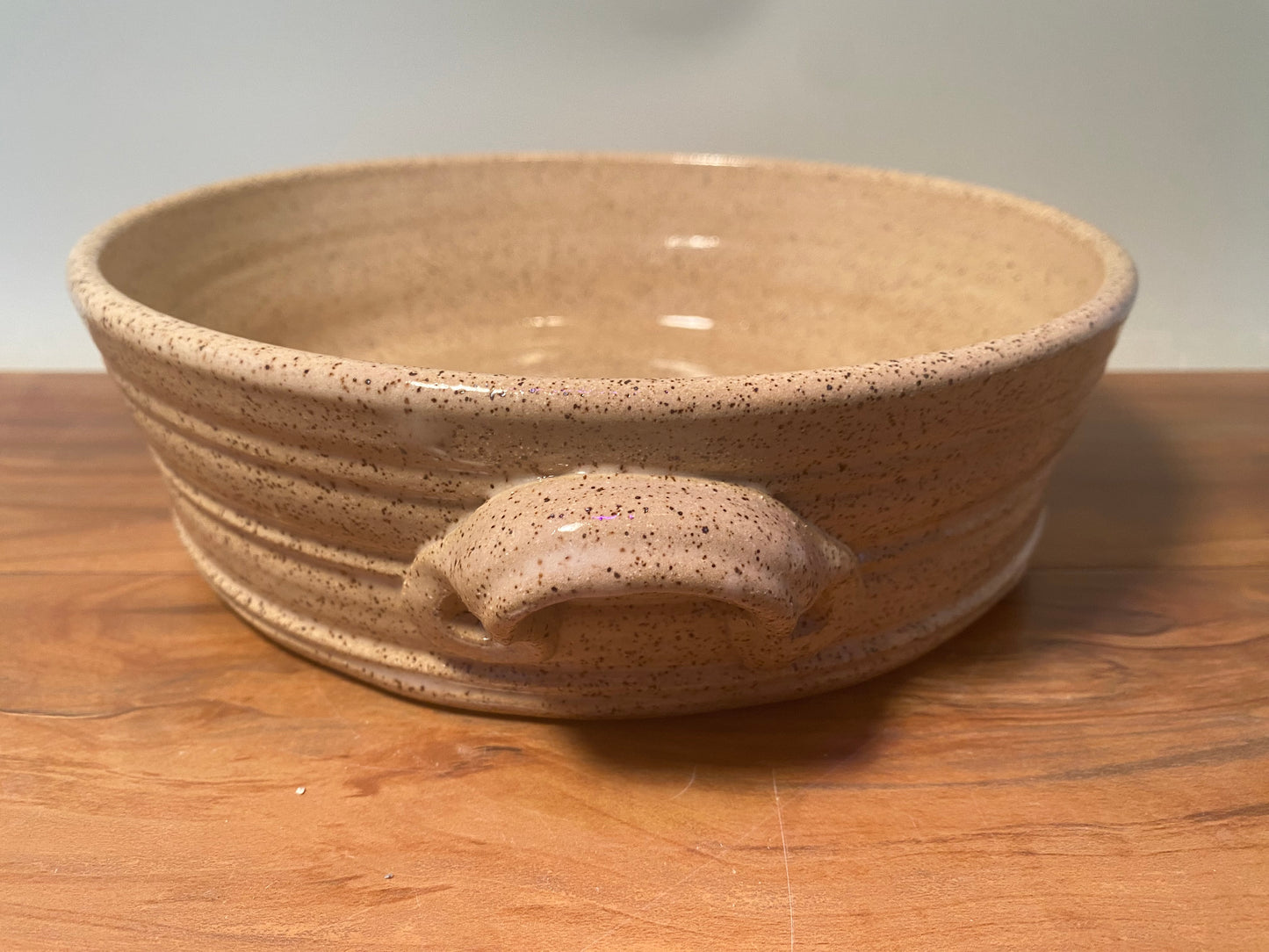 Casserole Large