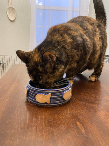 Extra Small Pottery Pet Bowl