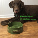 Medium Pottery Pet Bowl